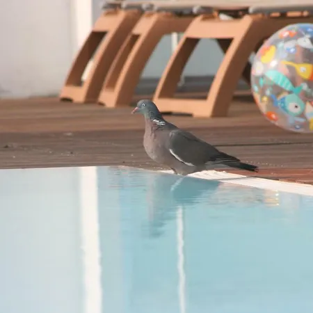 Luciana Hotel Bibione